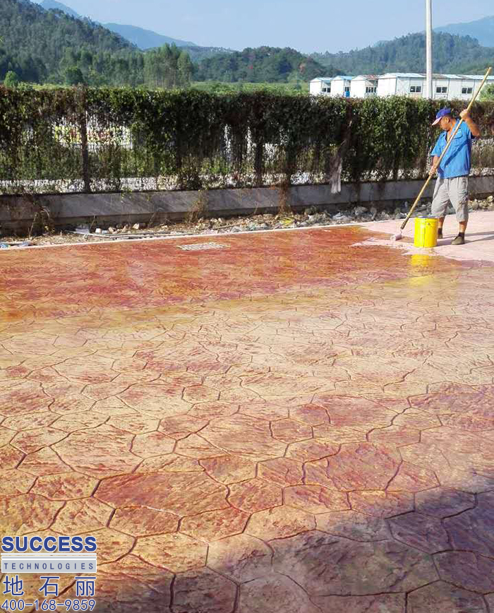 清遠嶺南職業(yè)學院花彩石壓花地坪